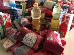 PROGRAMA DE ALIMENTOS 13-12-2016